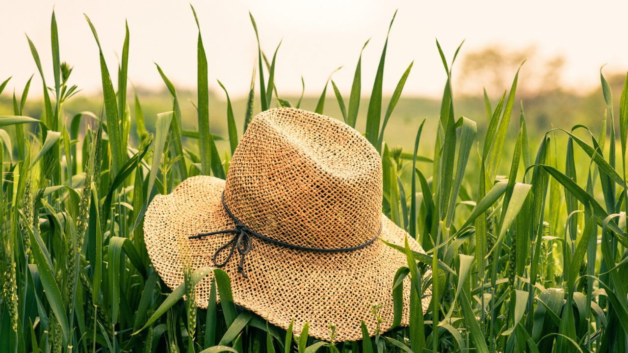 Btsのナチス帽子に海外の反応は 画像が本当にあった うんてぃが話題をまとめるブログ