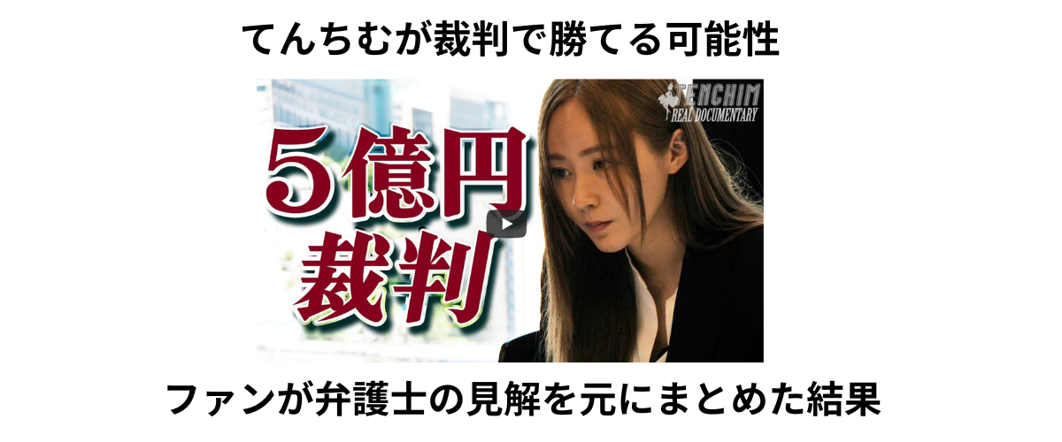 てんちむが裁判で勝てる可能性